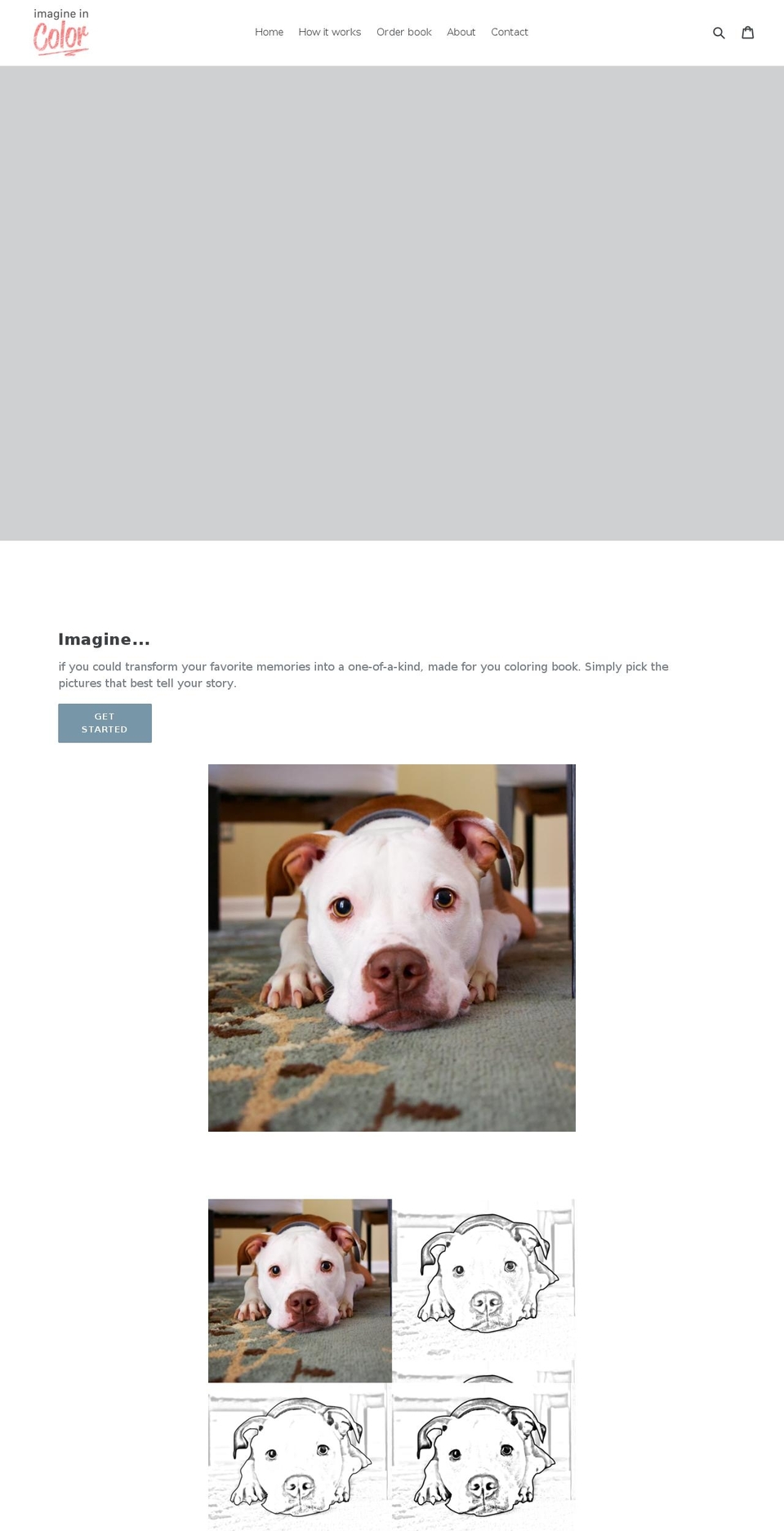 imagineincolor.com shopify website screenshot