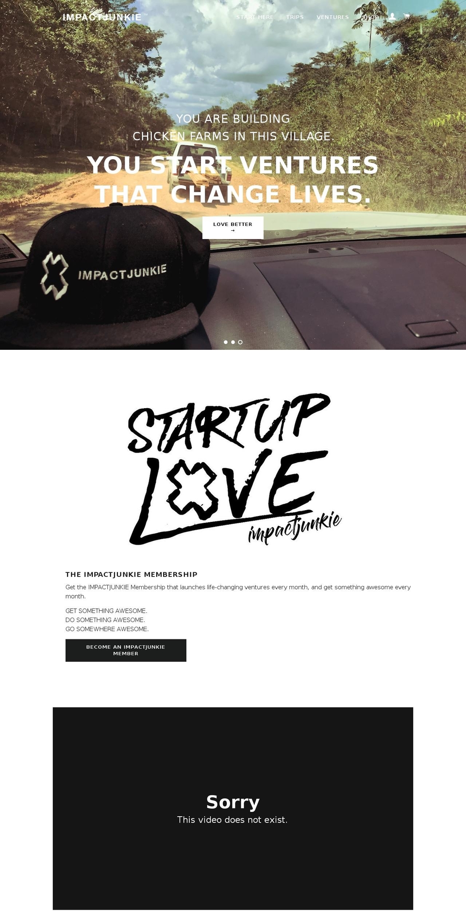 impactjunkie.co shopify website screenshot