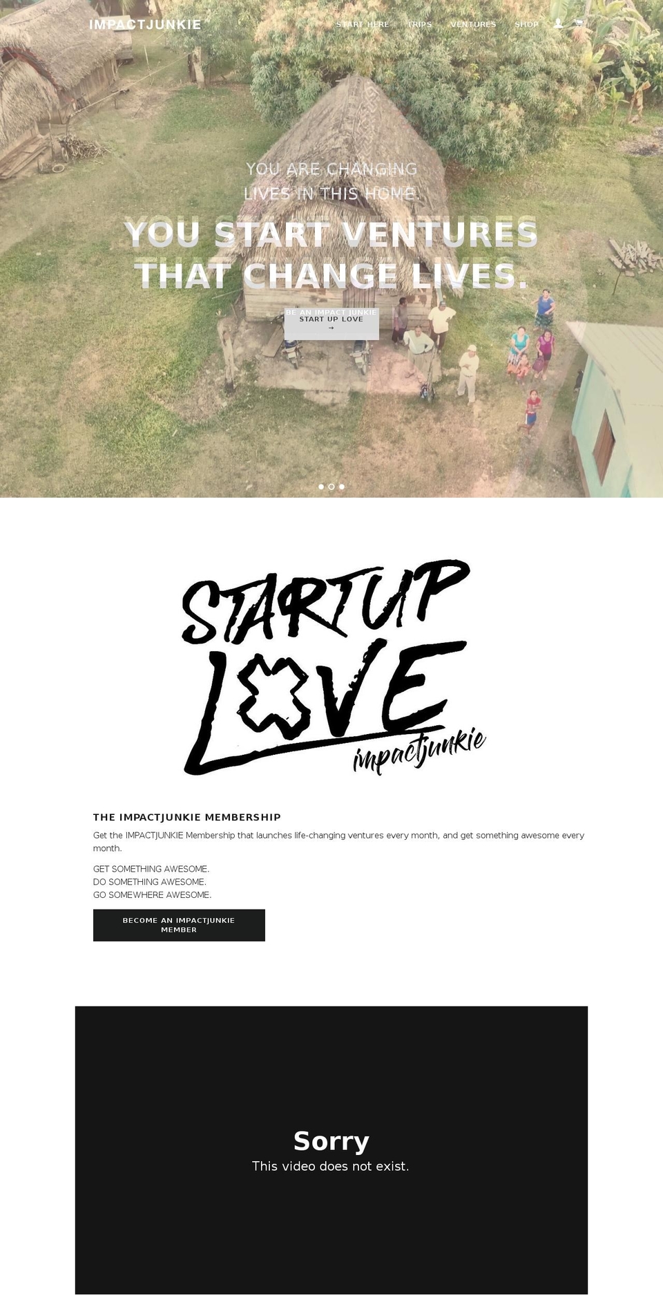 impactjunkie.com — Shopify storefront screenshot