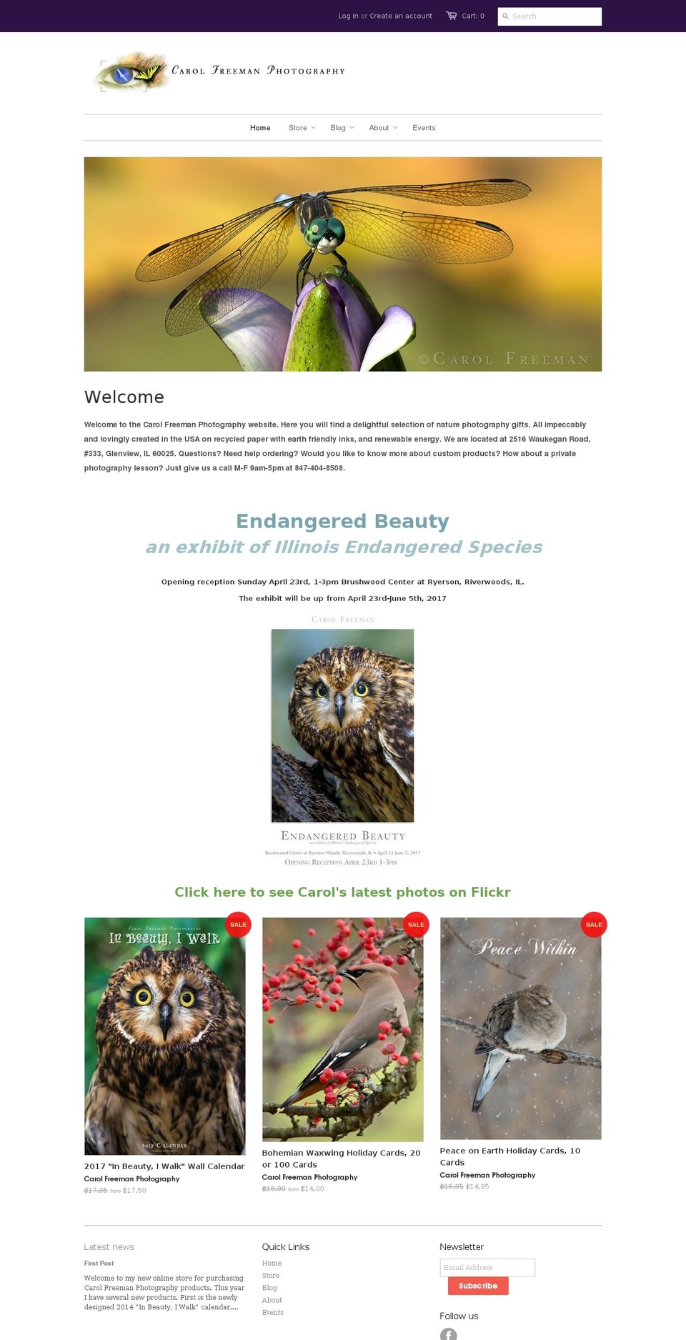 inbeautyiwalk.com shopify website screenshot