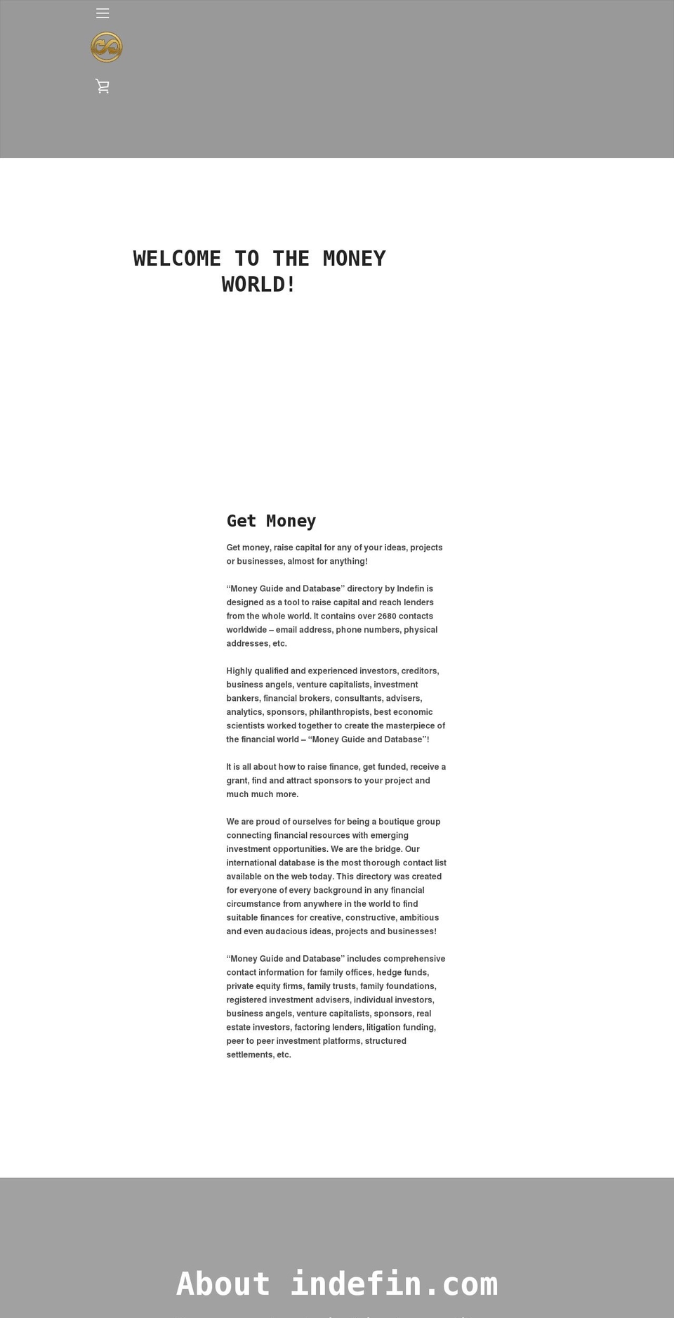 indefin.com shopify website screenshot