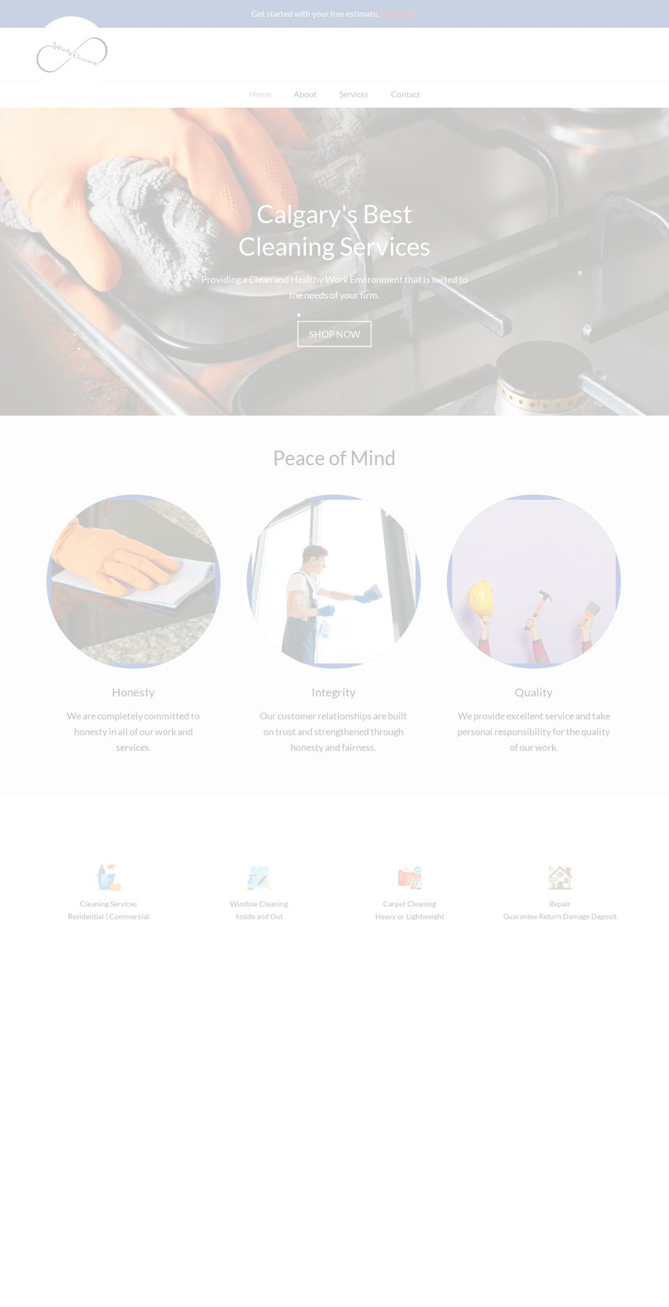 infinityservices.ca shopify website screenshot