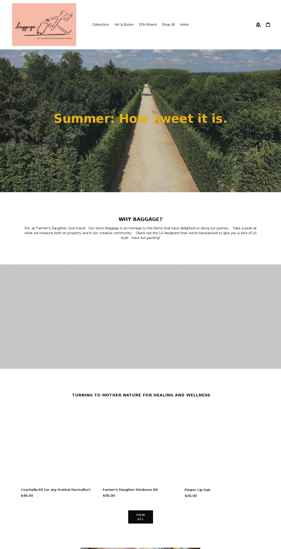 inmybaggage.com — Shopify storefront screenshot