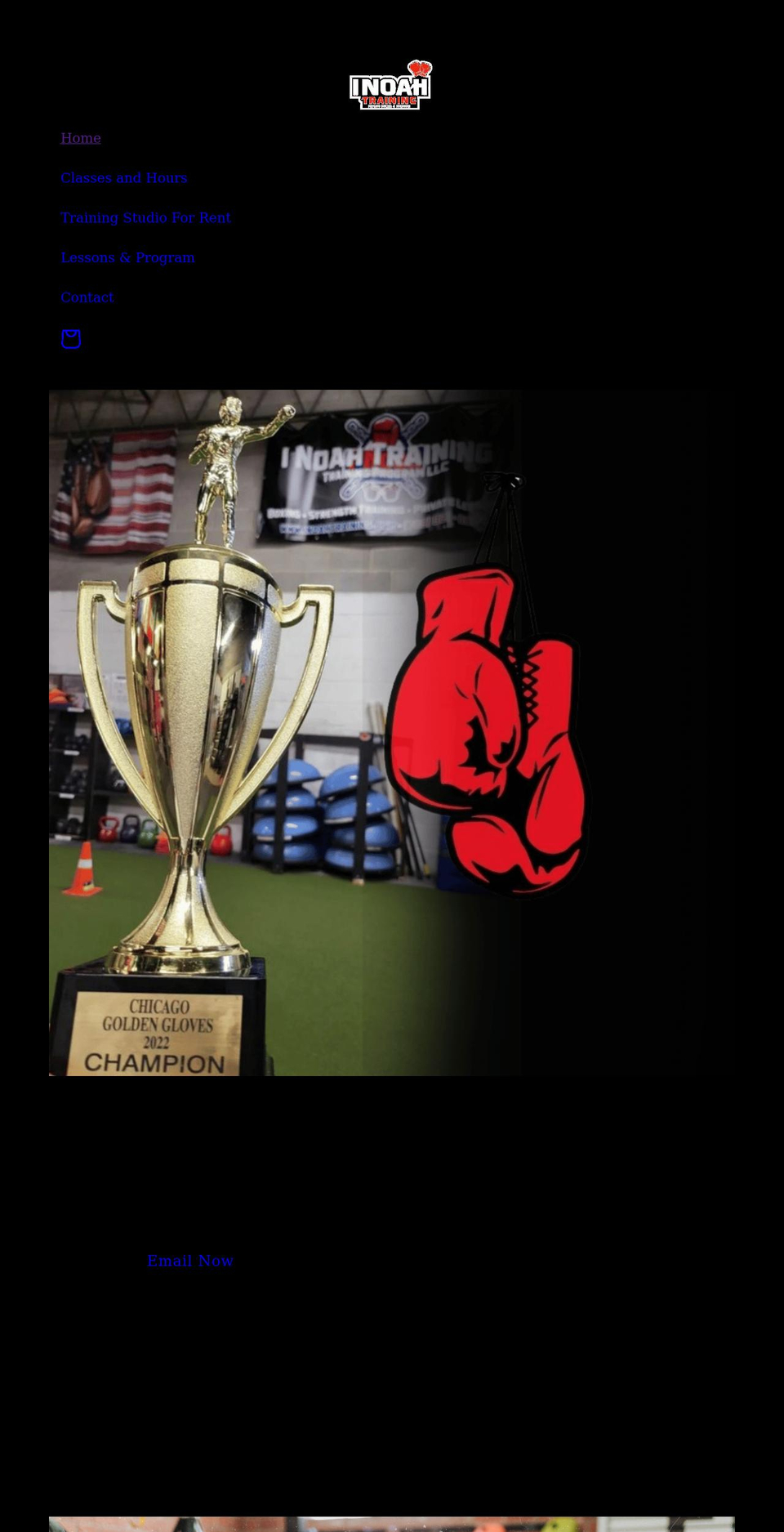 inoahtraining.com shopify website screenshot