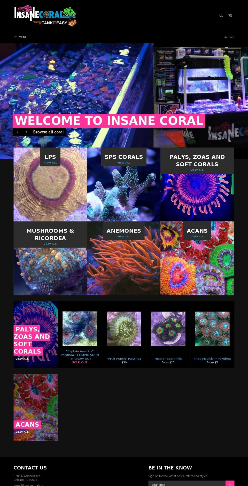 insanecoral.com shopify website screenshot