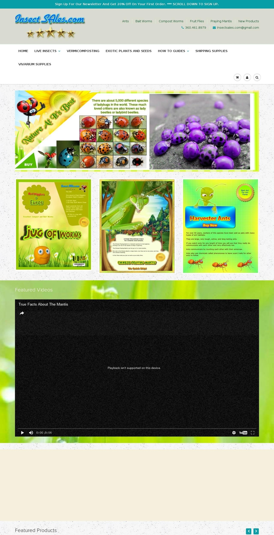 insectsales.com shopify website screenshot