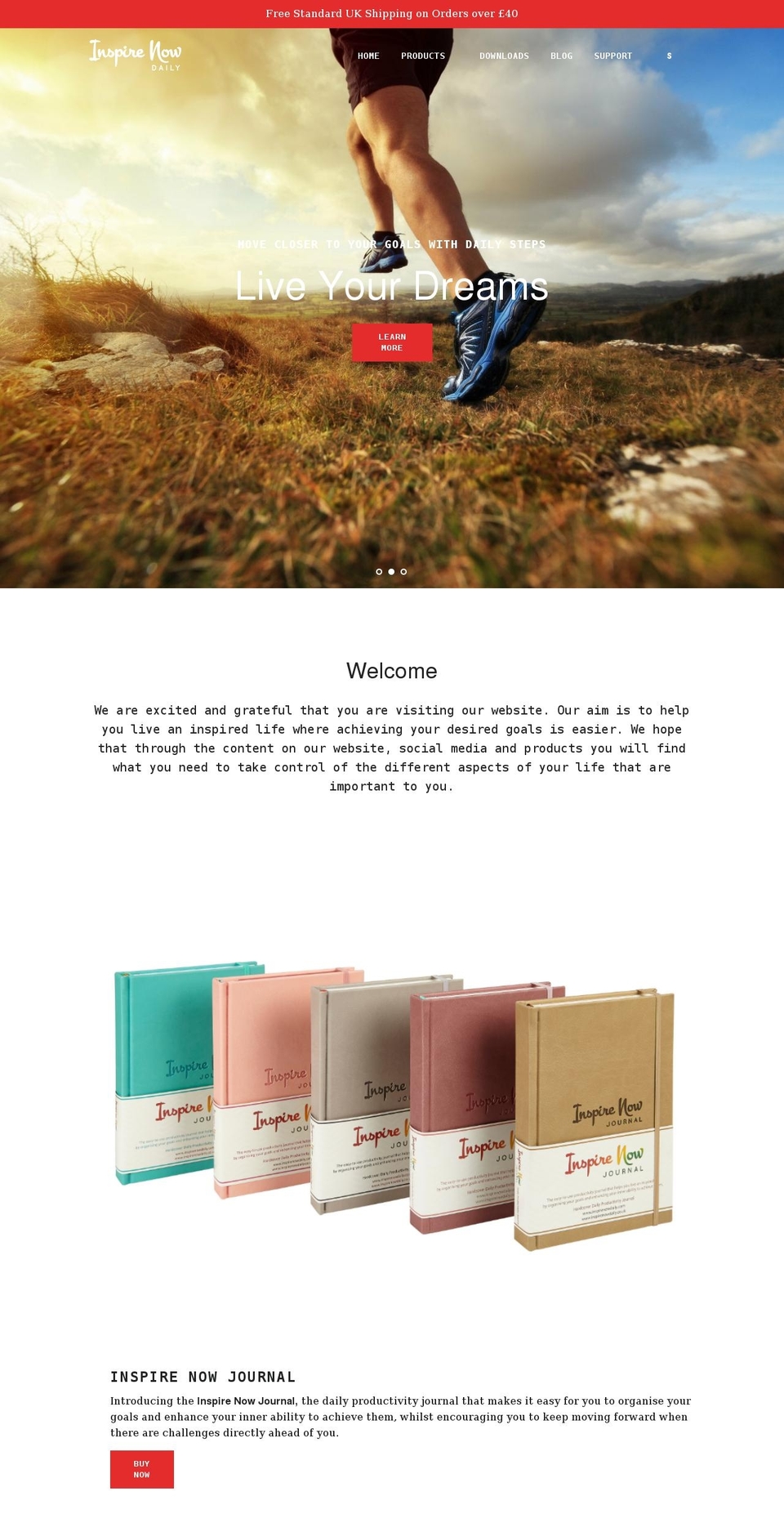 inspirenowdaily.co.uk shopify website screenshot