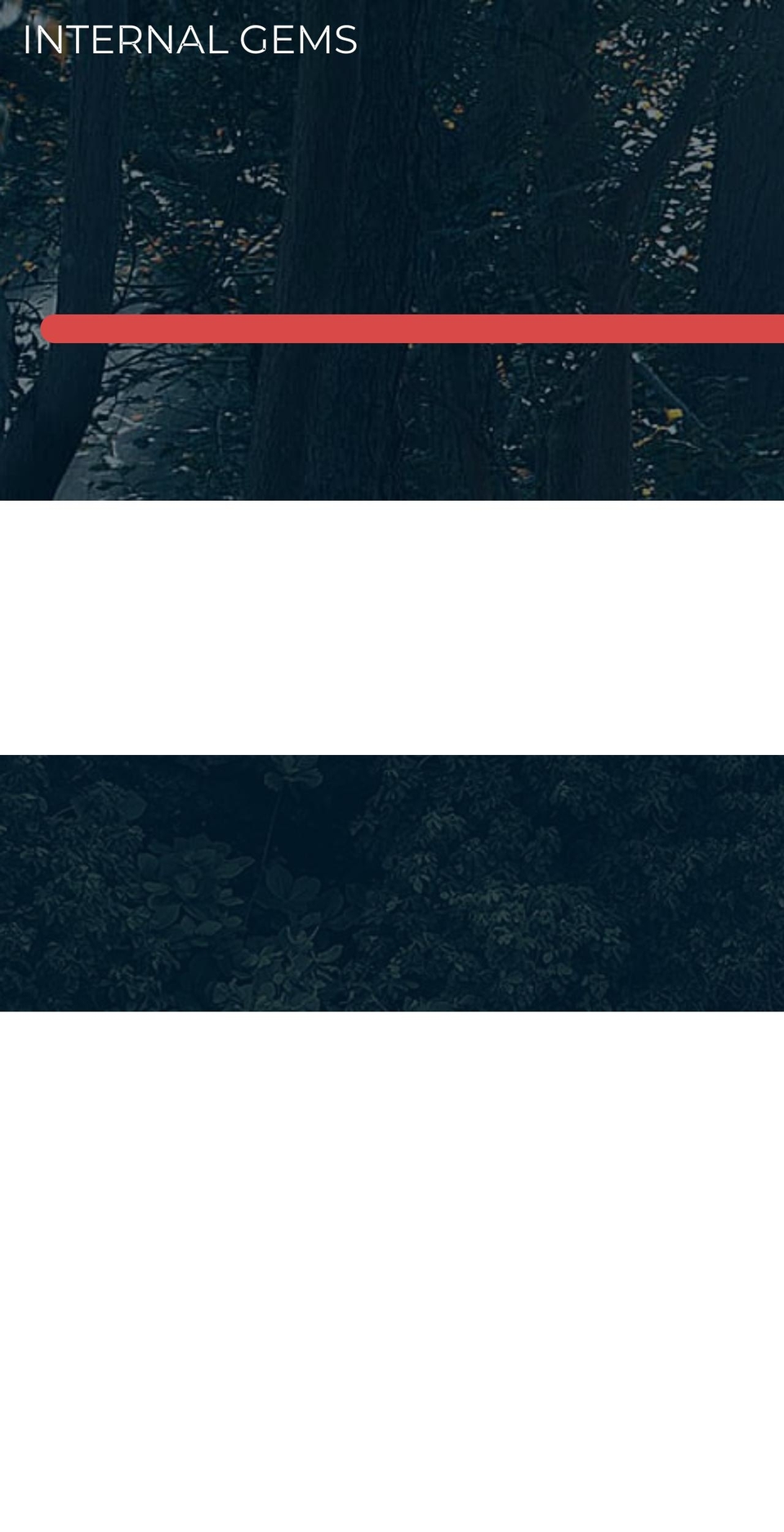 internalgems.com — Shopify storefront screenshot