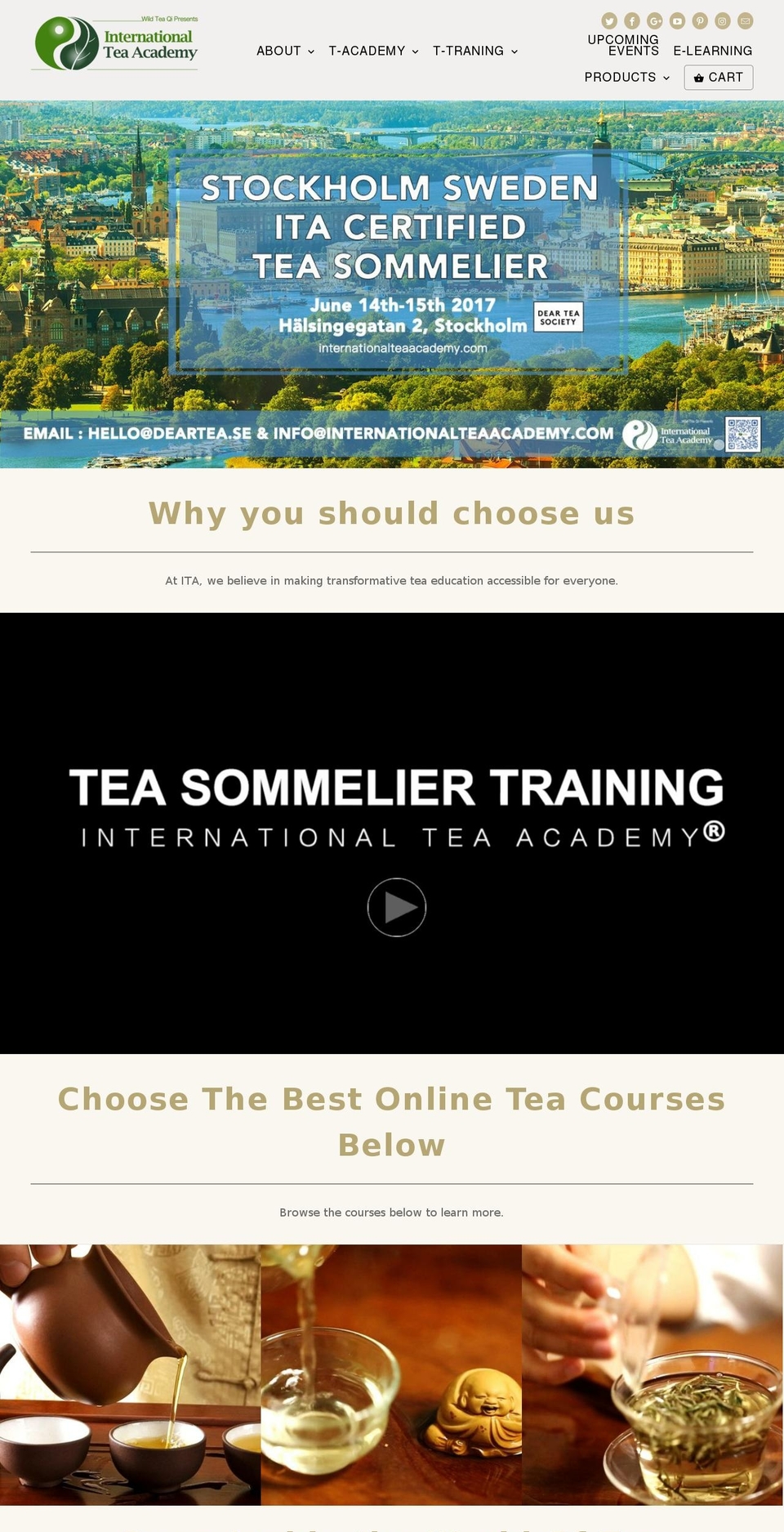 internationalteaacademy.com shopify website screenshot