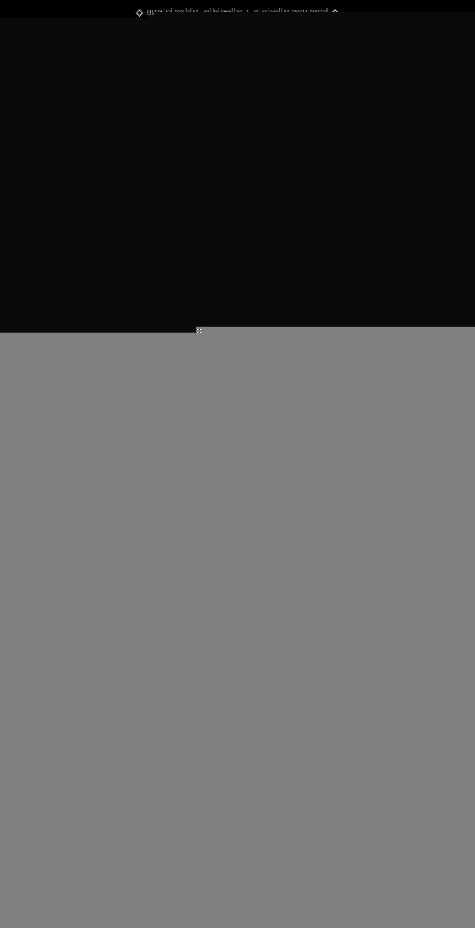 intothewildcompany.com shopify website screenshot