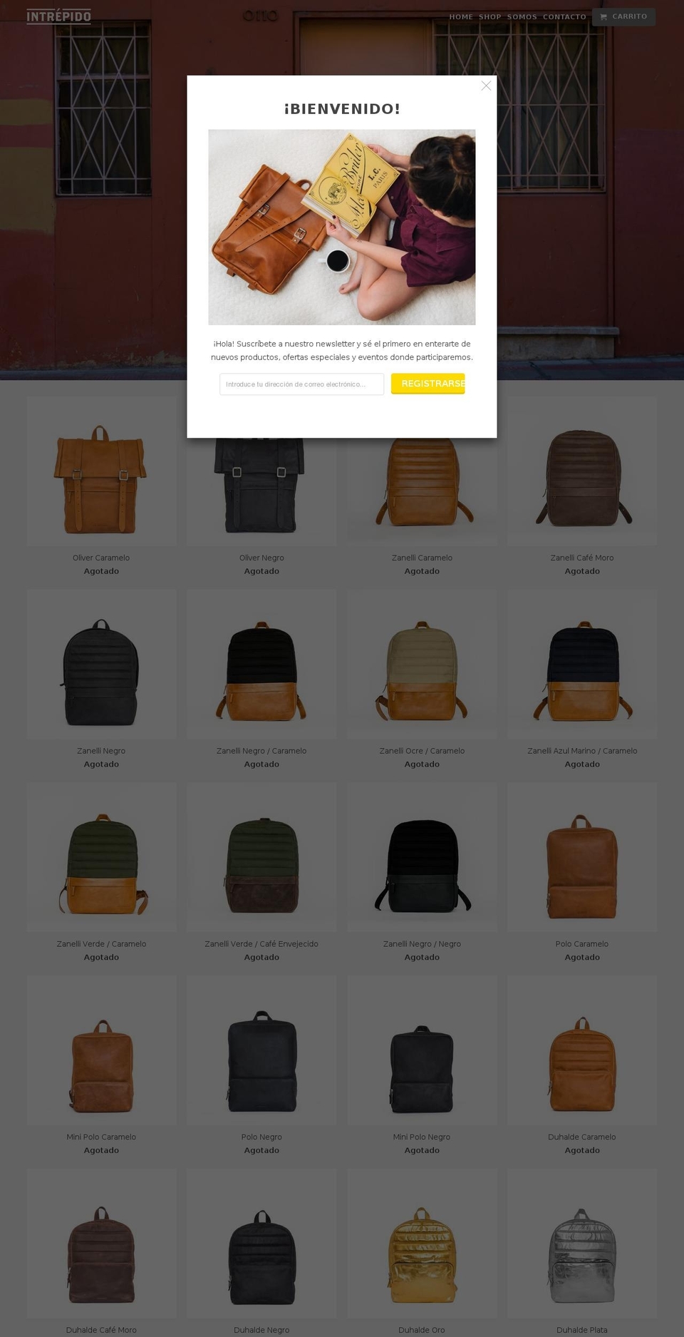 intrepidochile.cl shopify website screenshot