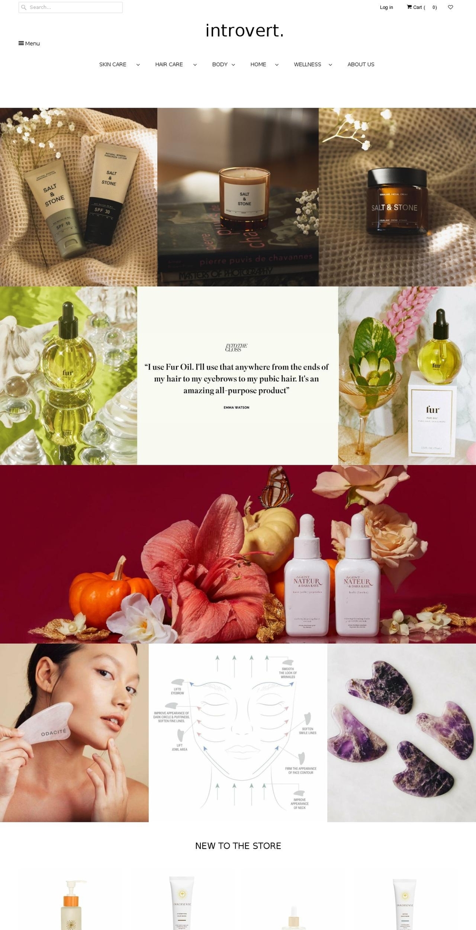 introverthome.com shopify website screenshot