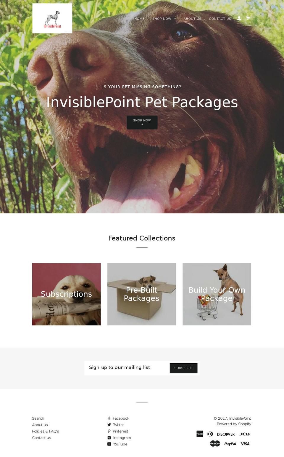 invisiblepoint.com shopify website screenshot