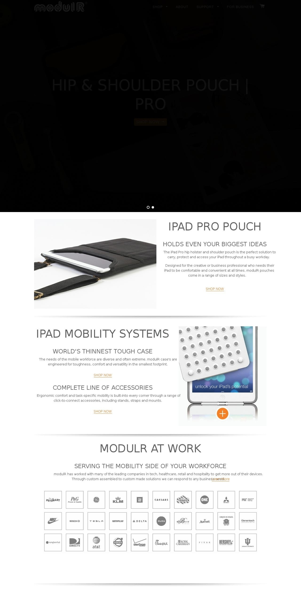 ionswipes.com shopify website screenshot