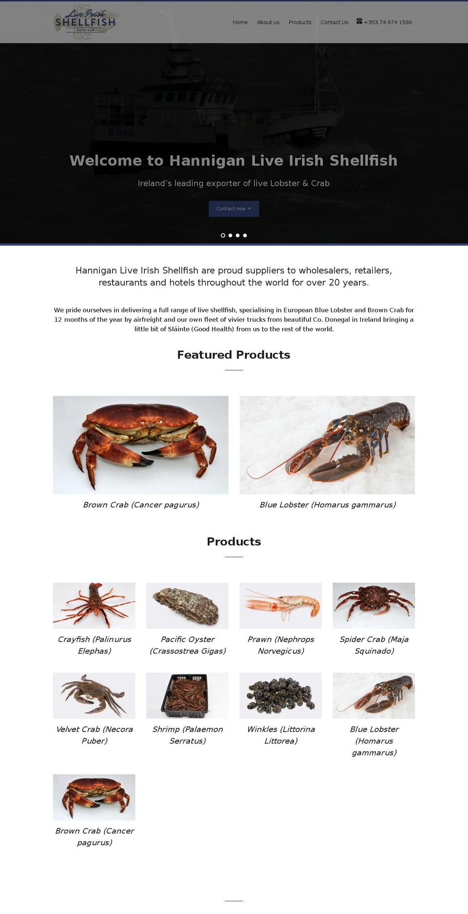 irishshellfish.com shopify website screenshot