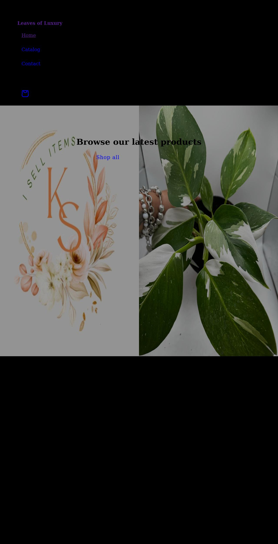 isellitems.com shopify website screenshot