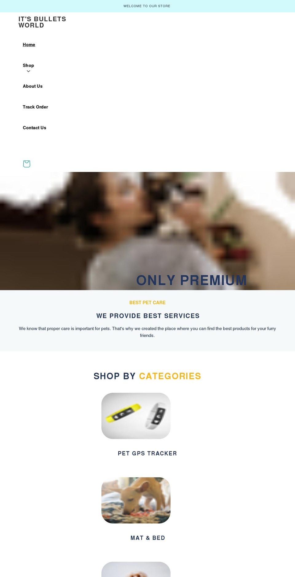 itsbulletsworld.com shopify website screenshot