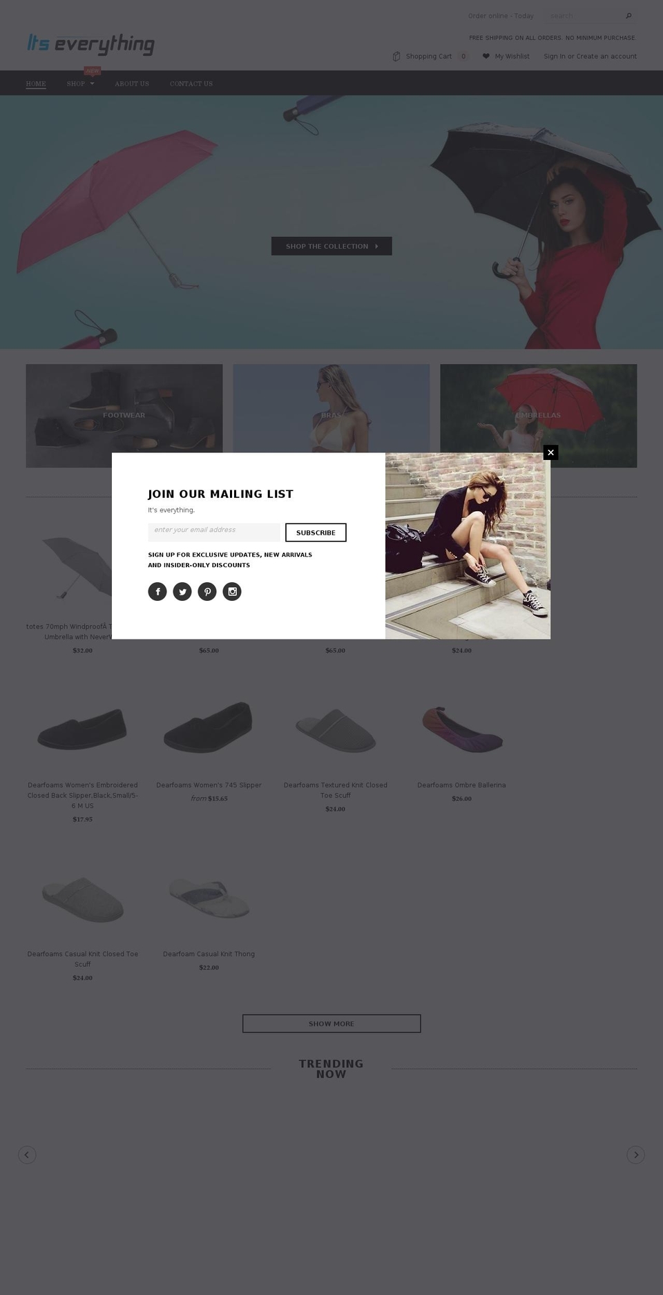 itseverythingllc.com shopify website screenshot