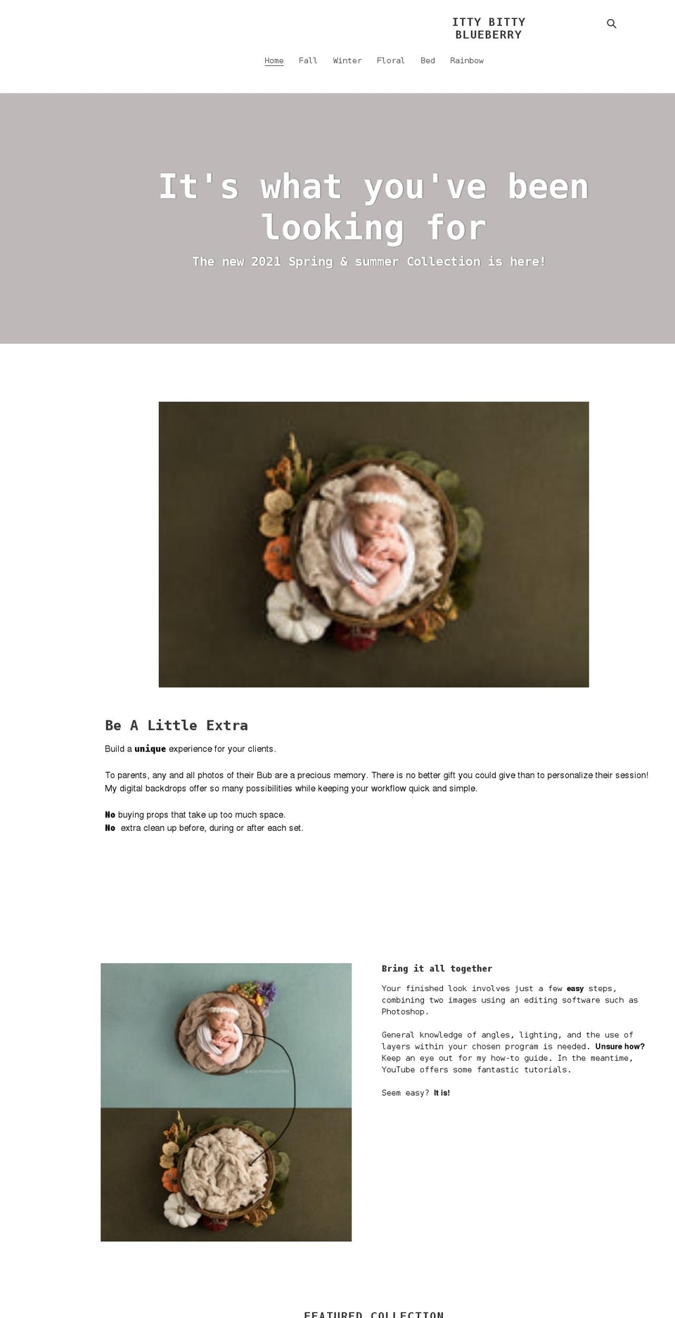 ittybittyblueberry.shop shopify website screenshot