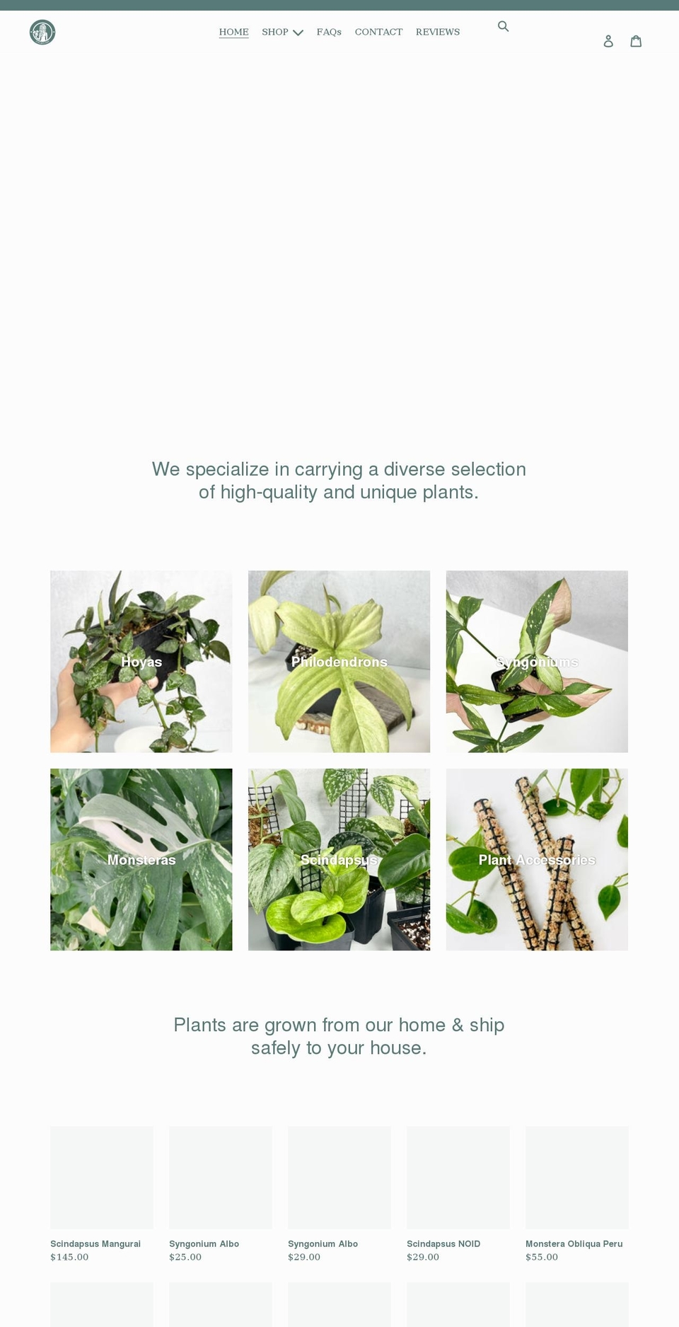 ivyplants.shop shopify website screenshot