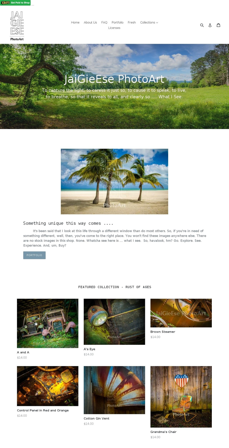 jaigieesephotoart.com shopify website screenshot