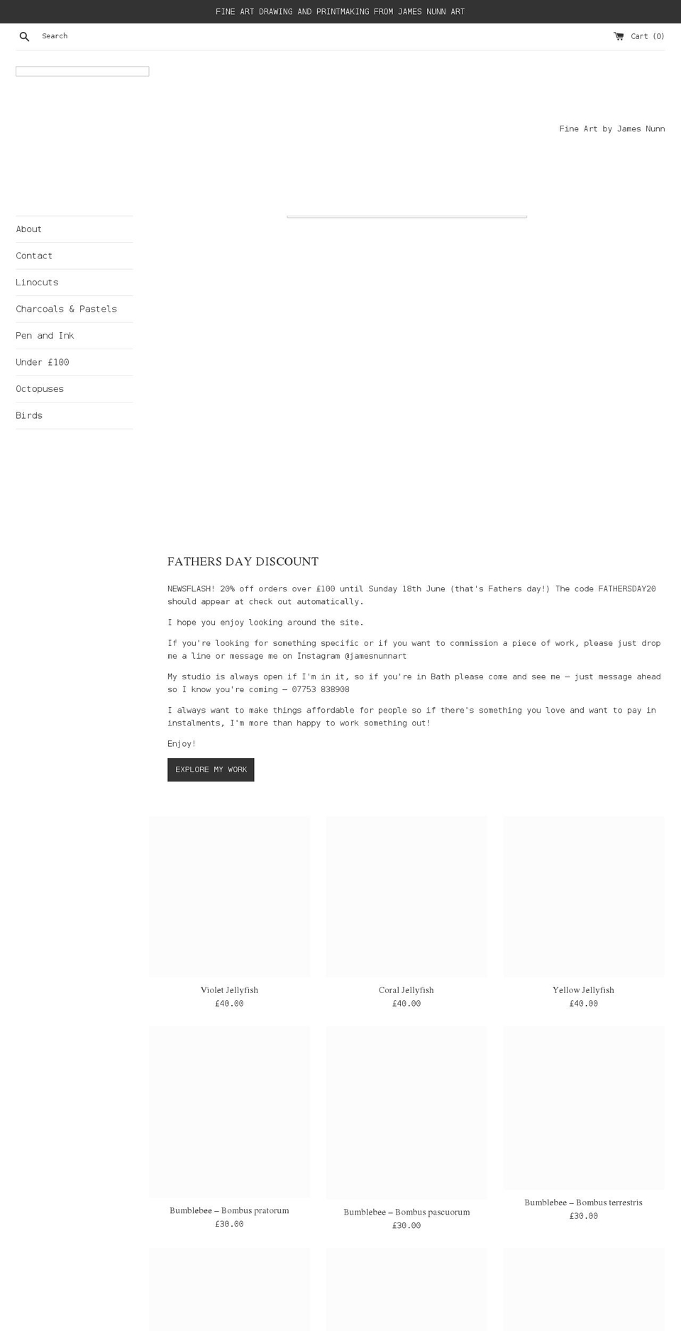 jamesnunnart.com shopify website screenshot
