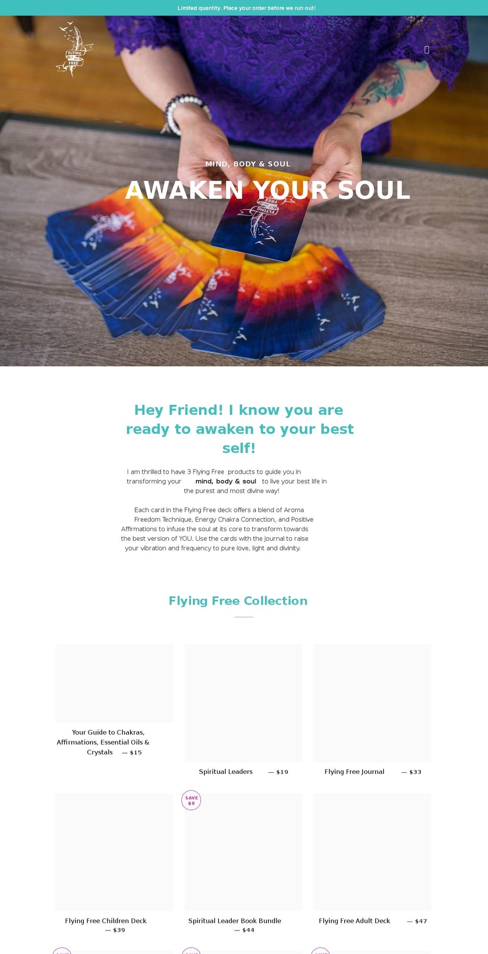 jamieschwegel.shop shopify website screenshot