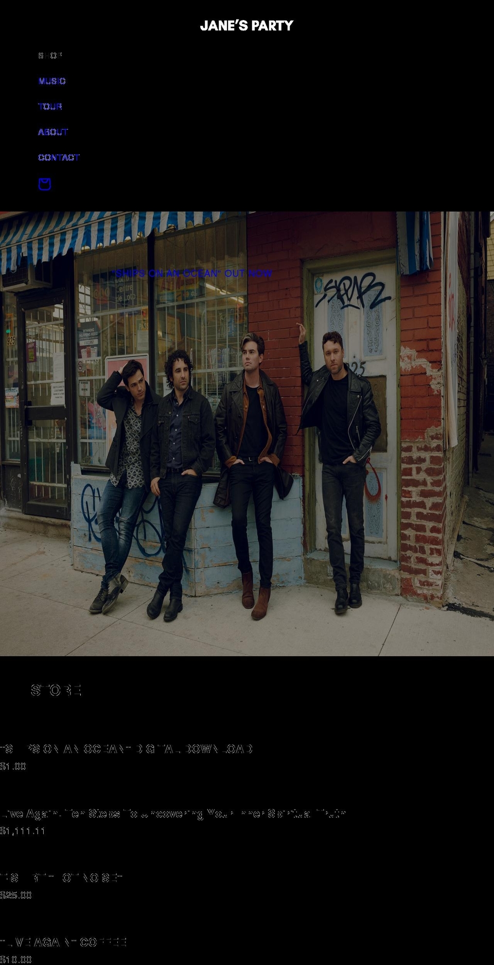 janesparty.com shopify website screenshot