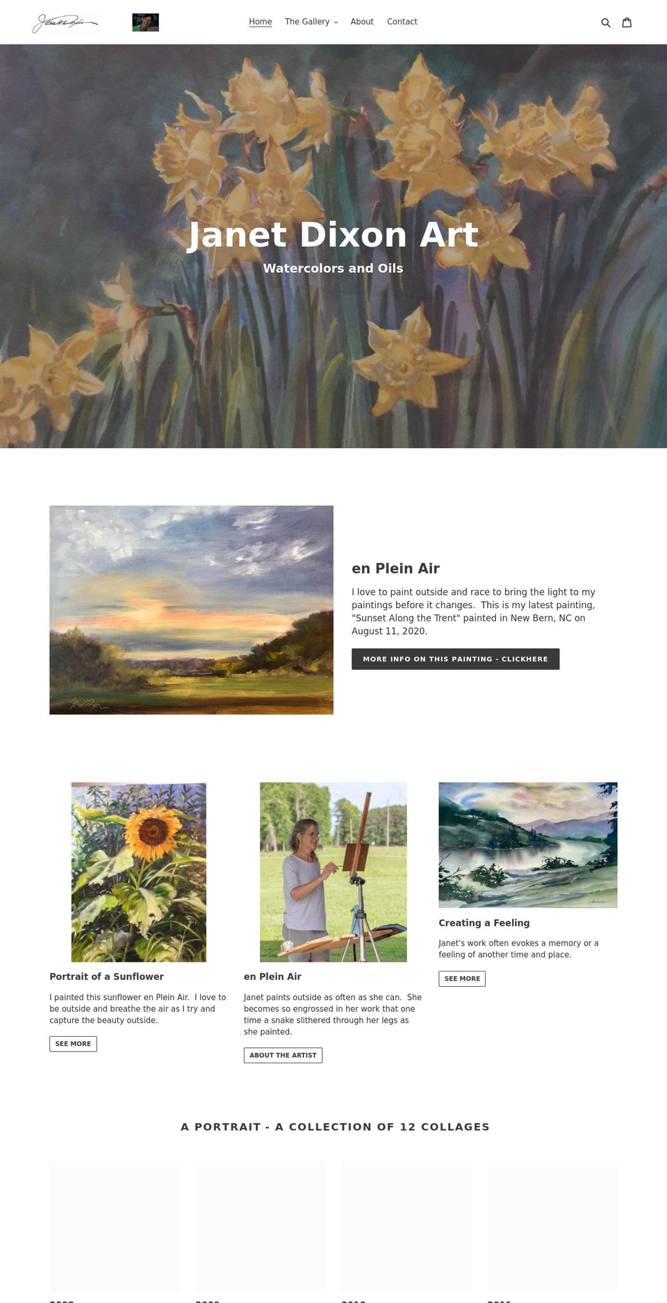 janetdixonart.com shopify website screenshot