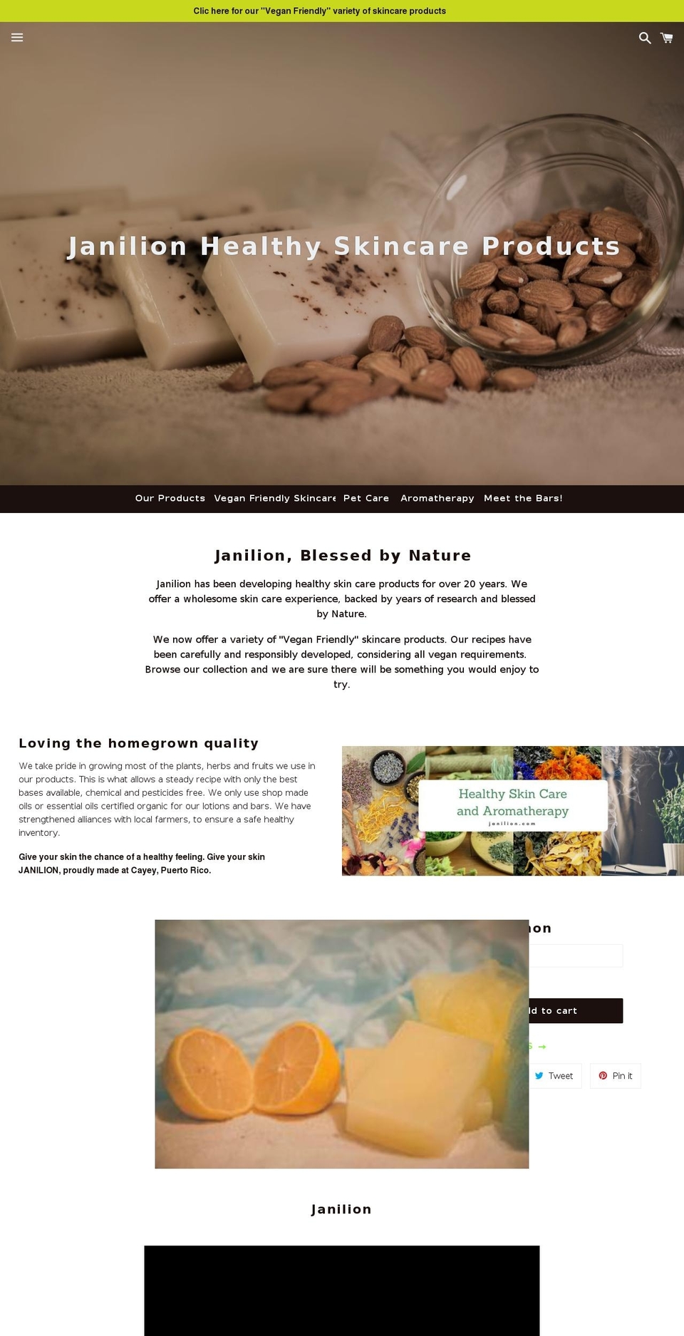 janilion.com shopify website screenshot