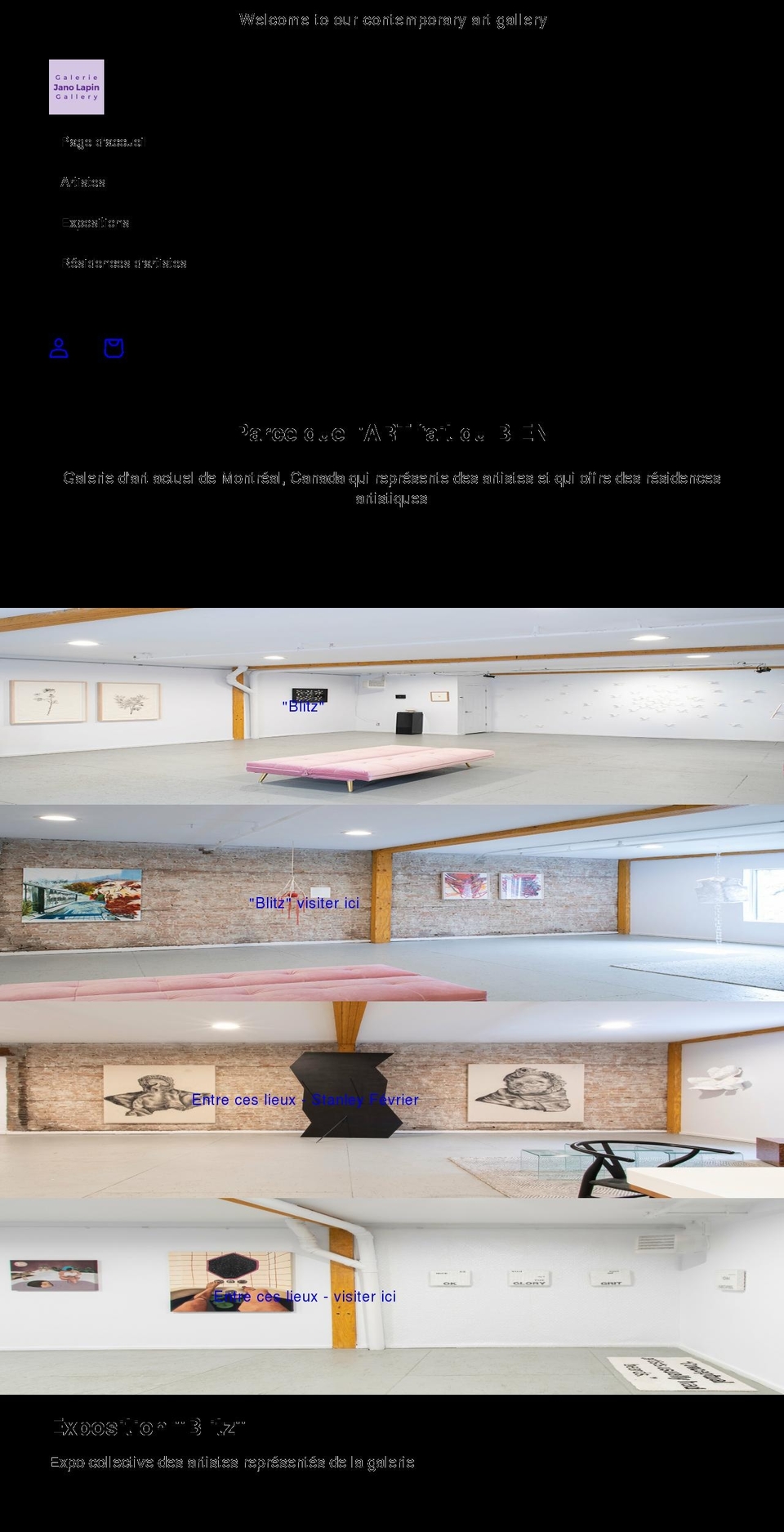janolapingallery.com — Shopify storefront screenshot