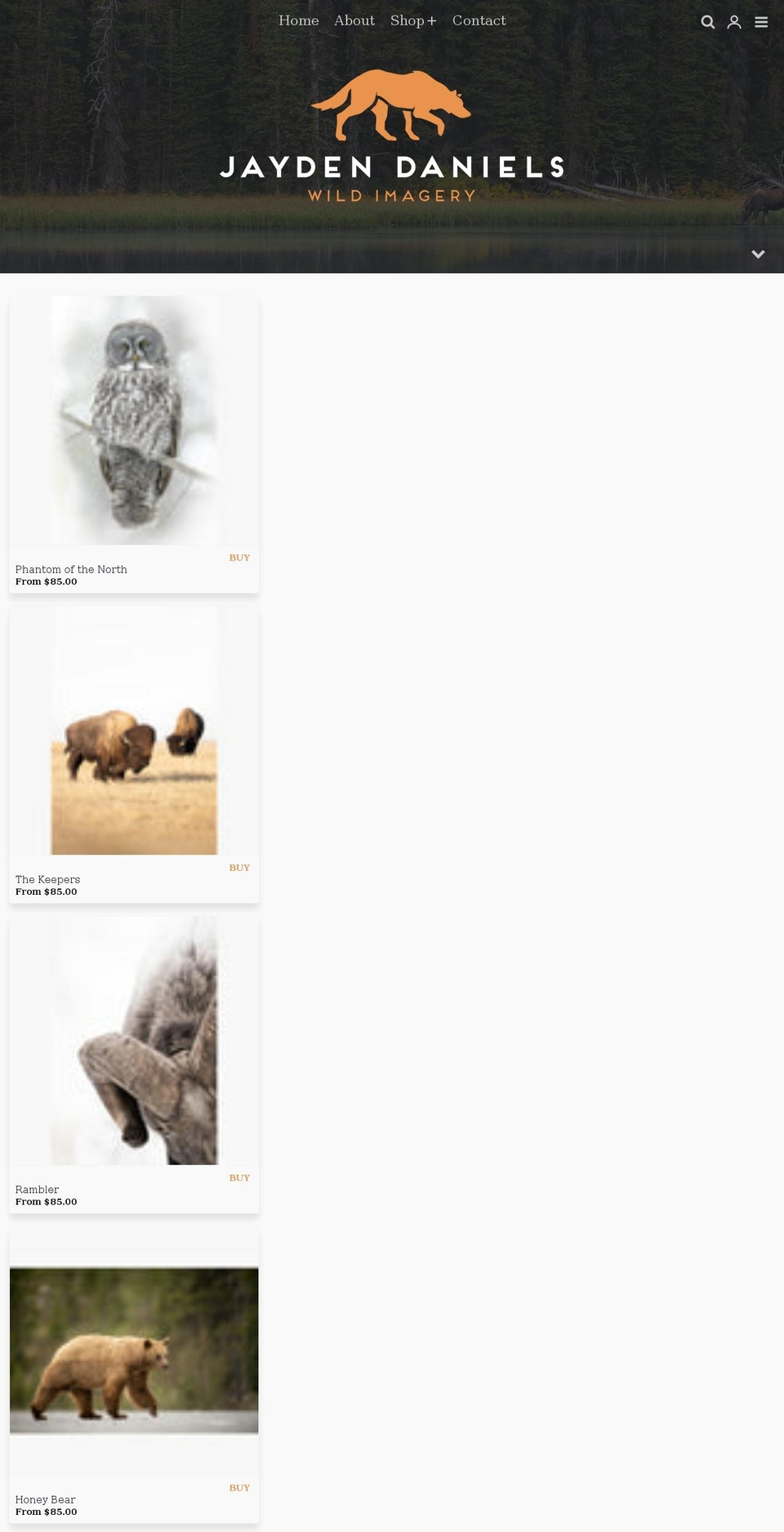 jdwildimagery.com shopify website screenshot