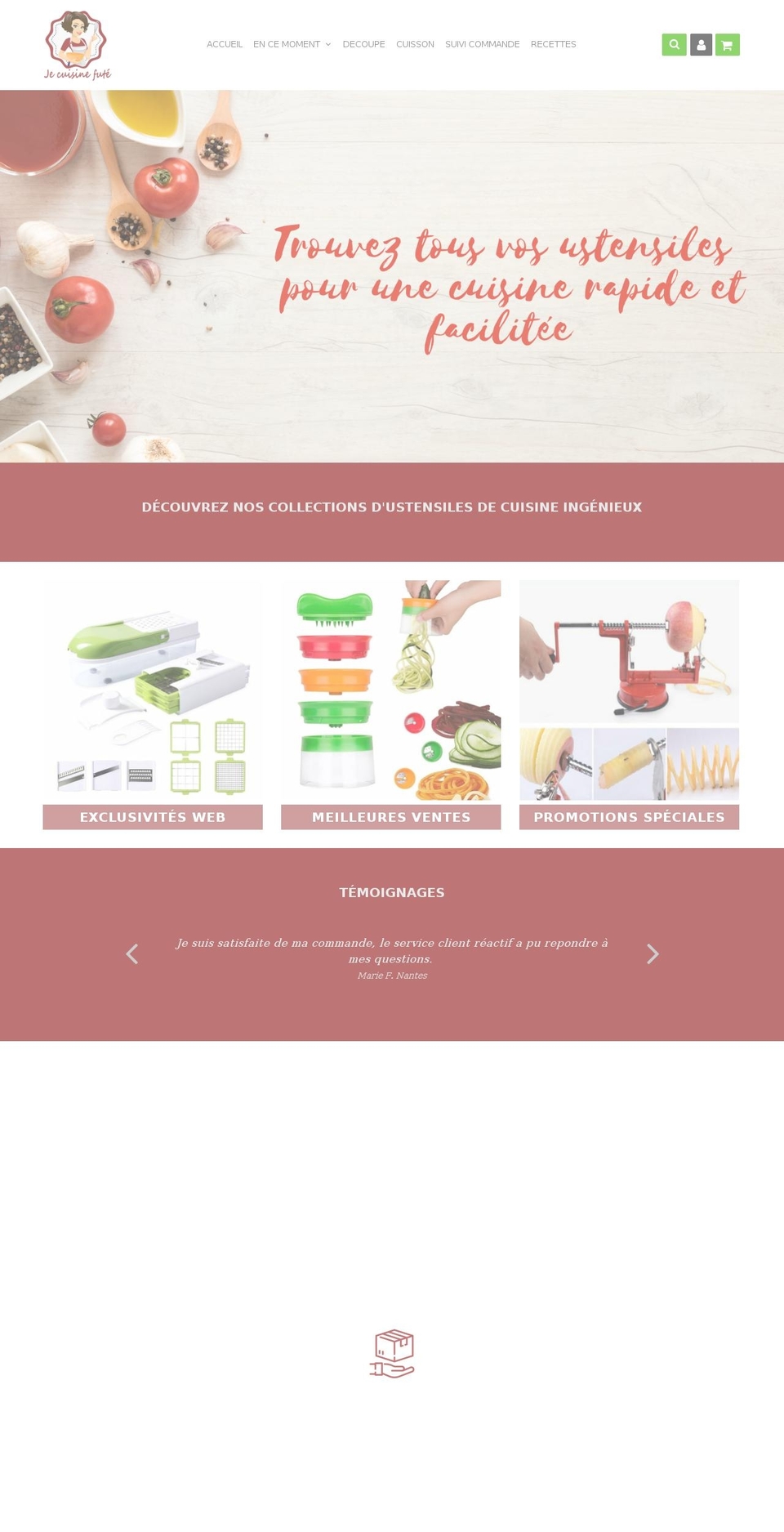 speedfly-- Shopify theme site example jecuisinefute.com