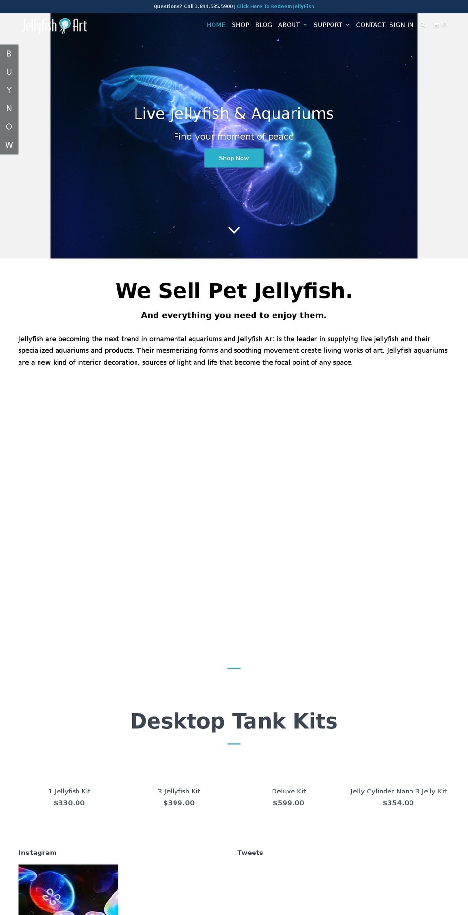 jellyfishart.com shopify website screenshot