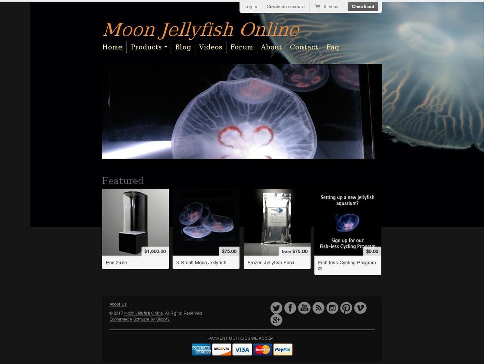 jellyfishfood.com shopify website screenshot