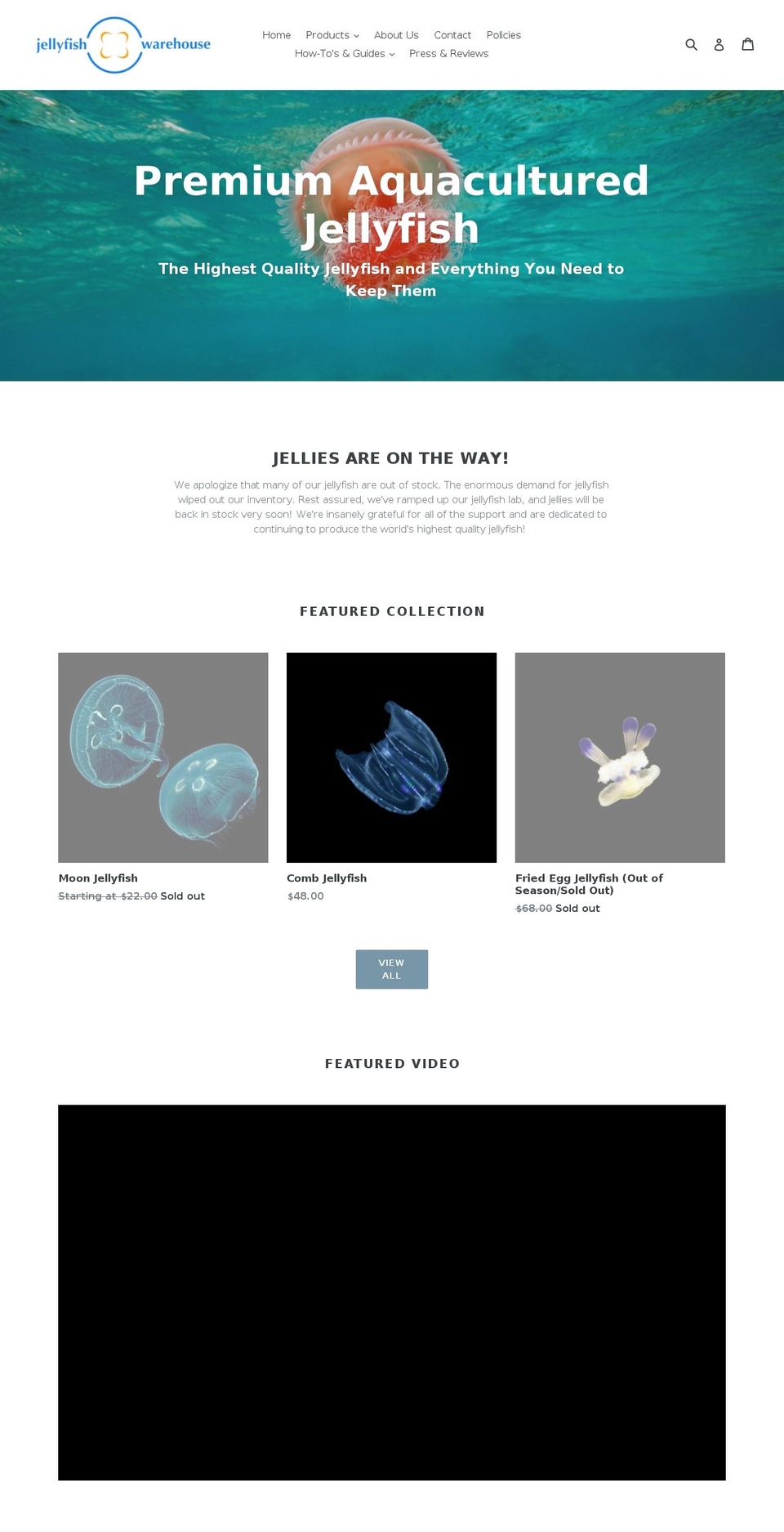 jellyfishwarehouse.com — Shopify storefront screenshot