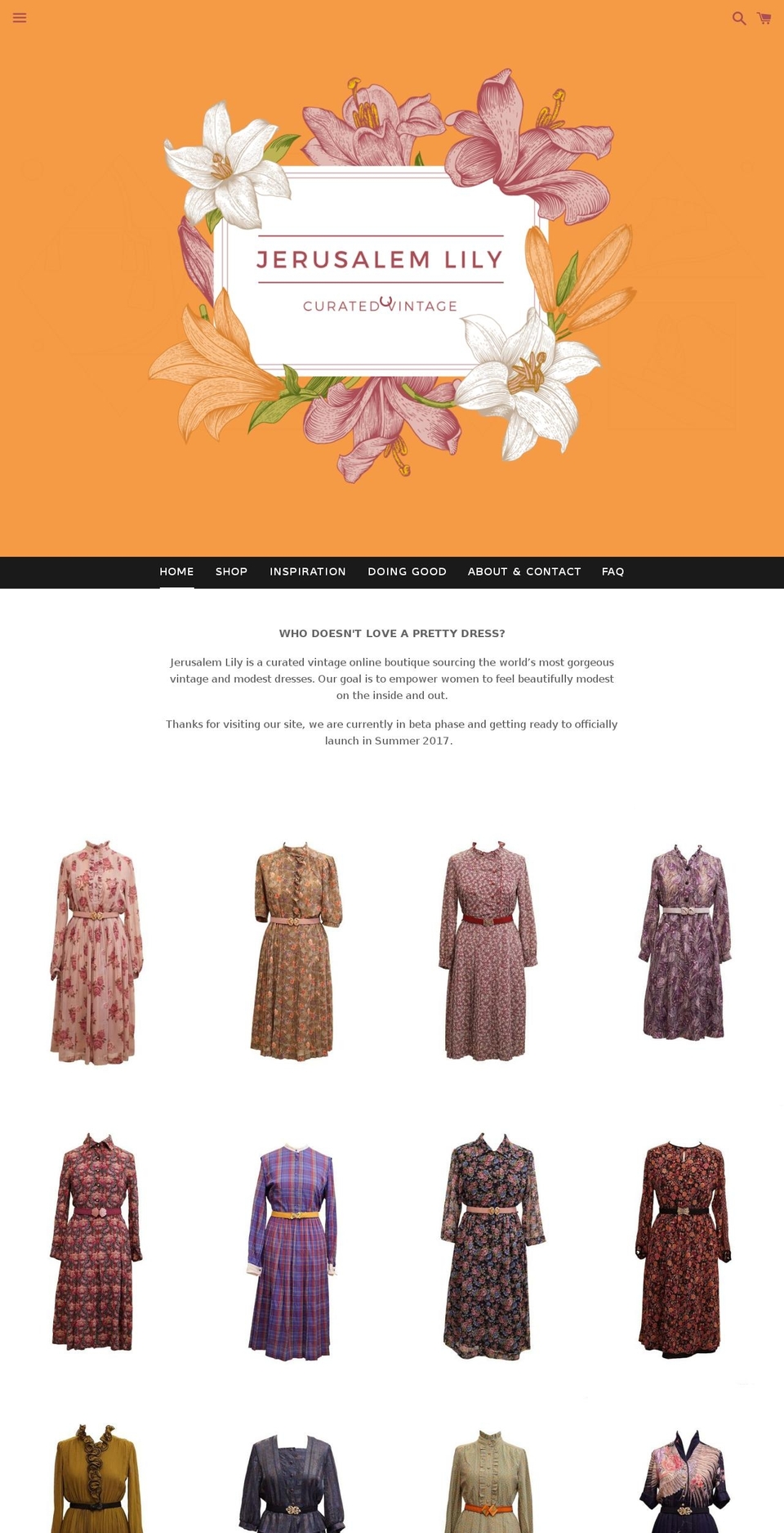 jerusalemlily.com shopify website screenshot