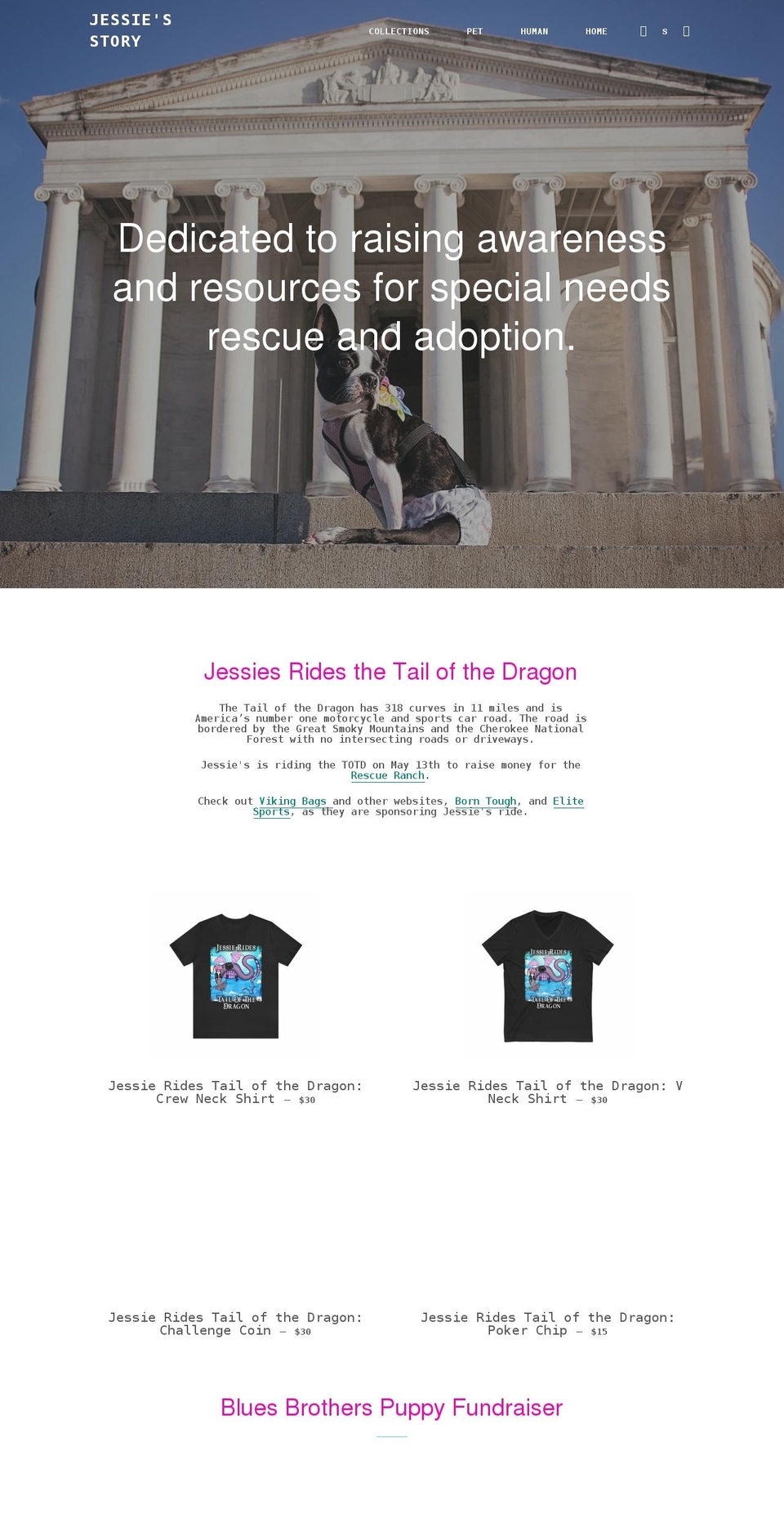 jessiesstory.com shopify website screenshot