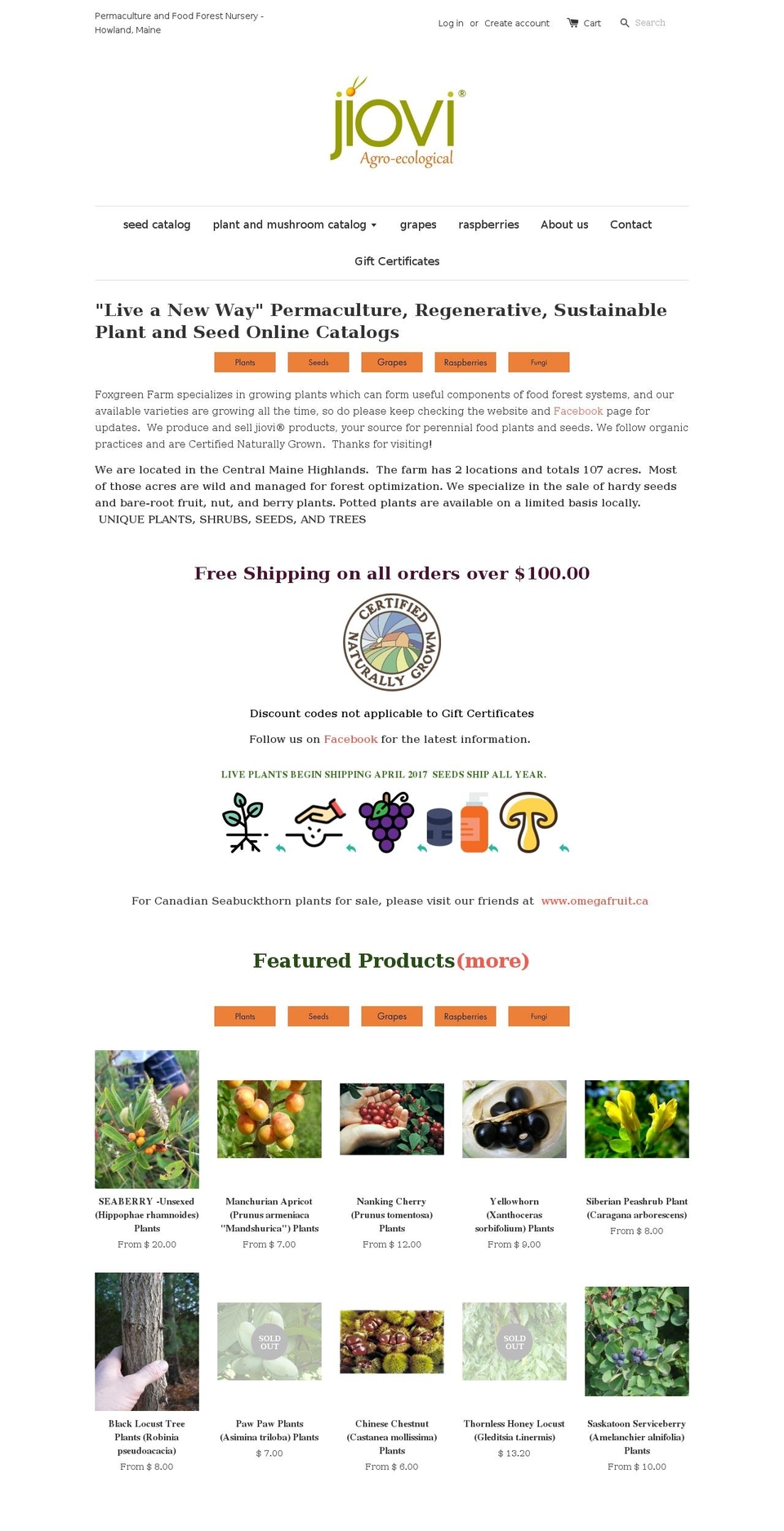 jiovi.com shopify website screenshot