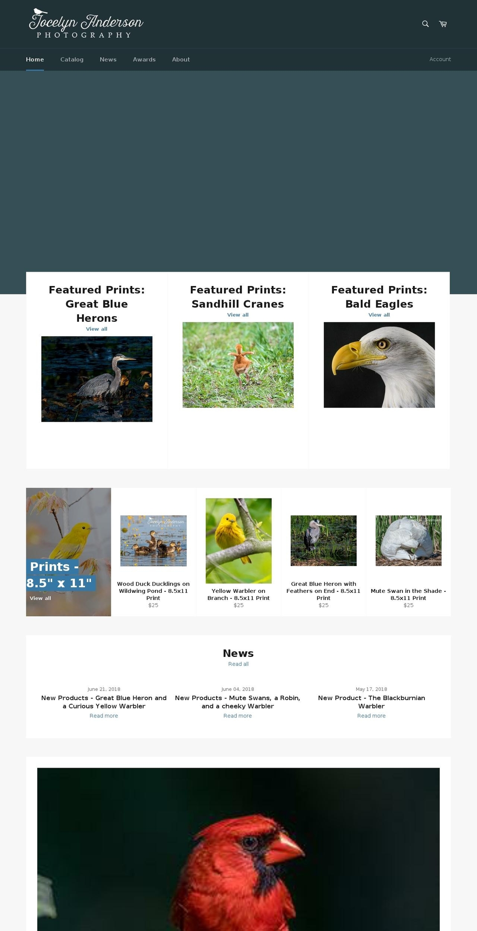 jocelynandersonphotography.com — Shopify storefront screenshot