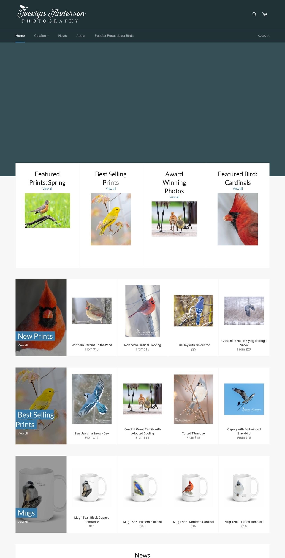 jocelynandersonphotographyshop.com — Shopify storefront screenshot