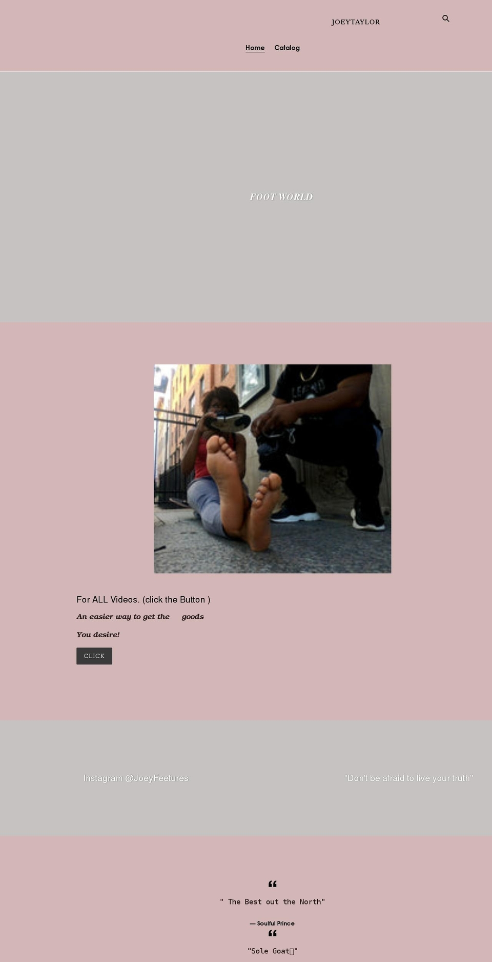 joeytaylor.net shopify website screenshot