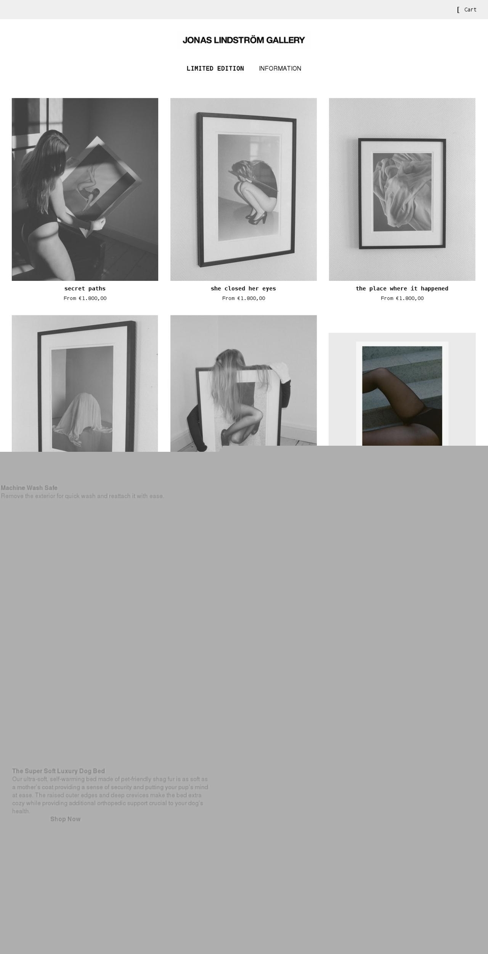 jonaslindstromgallery.se shopify website screenshot