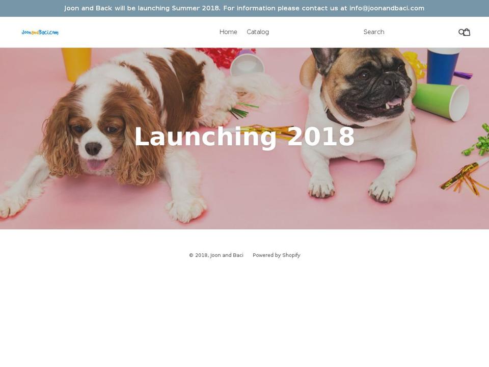 joonandbaci.com — Shopify storefront screenshot