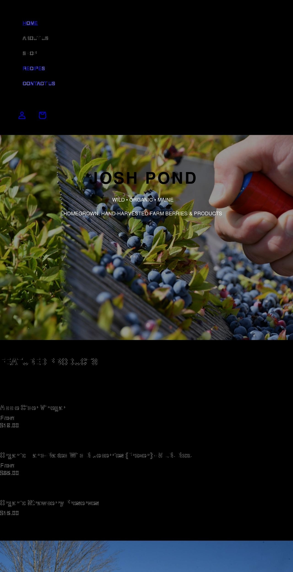 joshpond.com shopify website screenshot