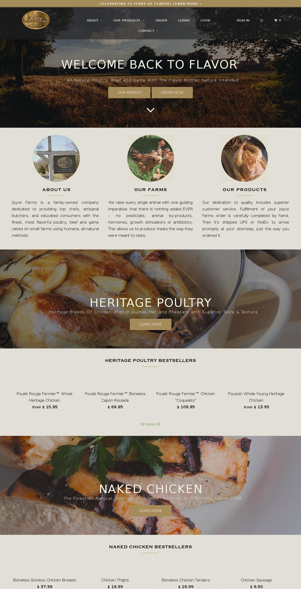 joycefoods.com shopify website screenshot