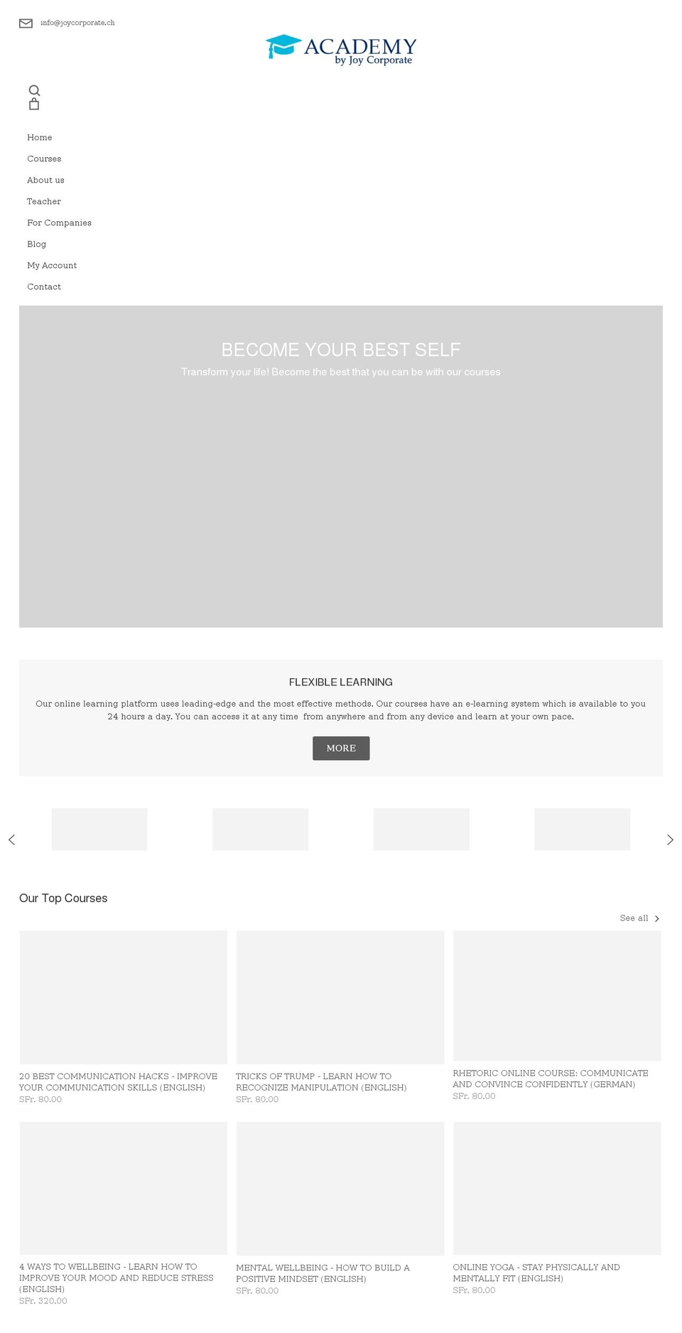 joycorporate-academy.com shopify website screenshot