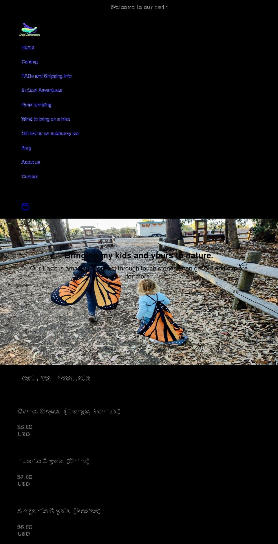 joydiscovers.com shopify website screenshot