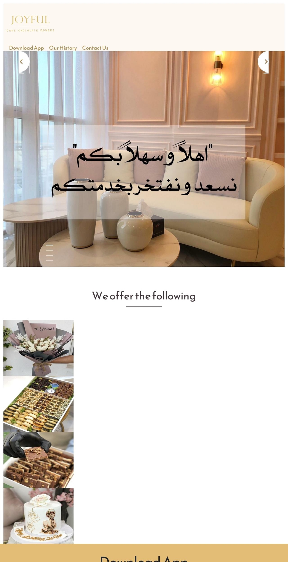 joyjewellry.com — Shopify storefront screenshot