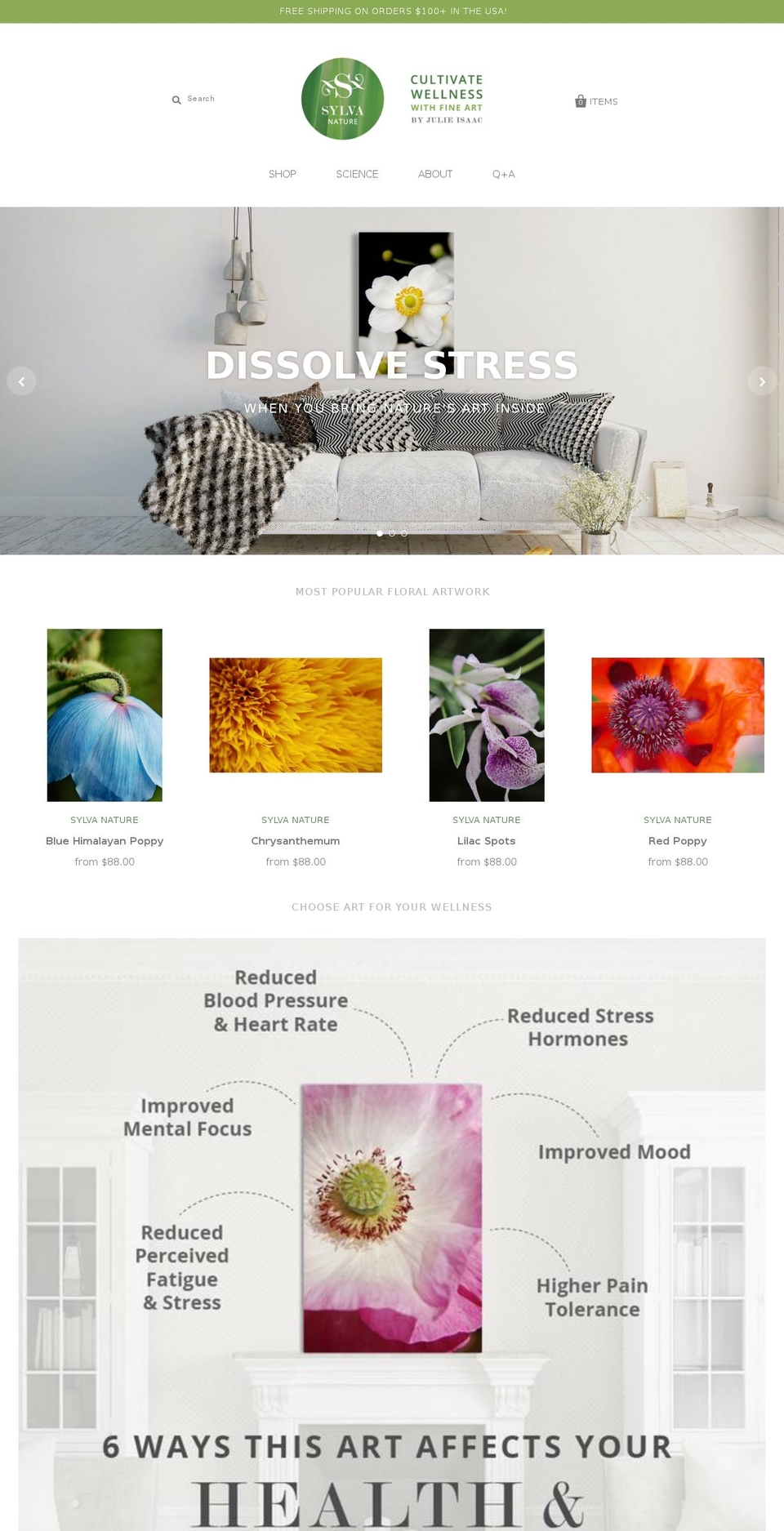 julieisaacdoula.com — Shopify storefront screenshot